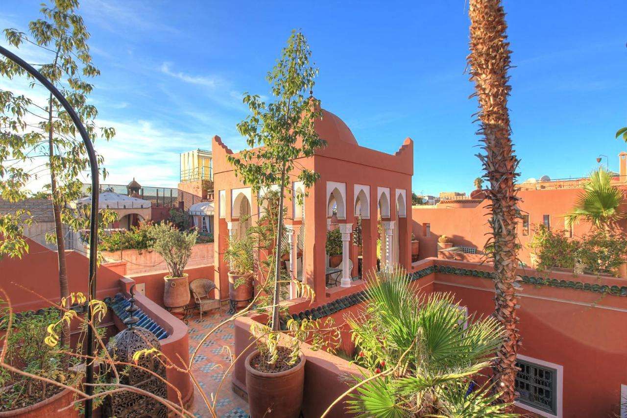 RIAD KAISS