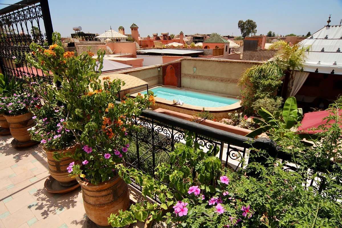 RIAD JONA