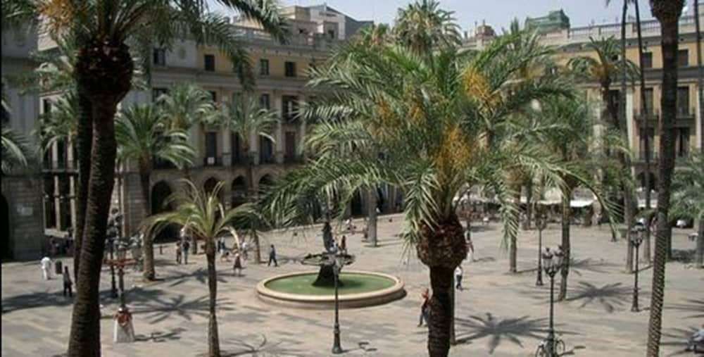 ROMA REIAL