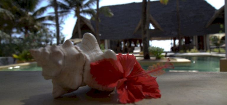 SAHARI ZANZIBAR