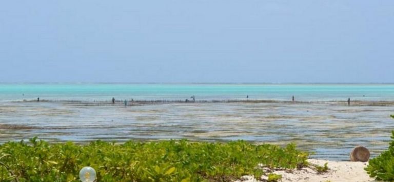 BLISS BEACH LODGE