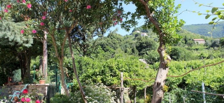 AGRITURISMO MARE E MONTI