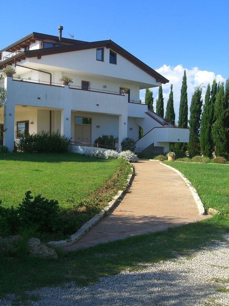 B&B RADICI24