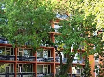 IBS GARDEN
