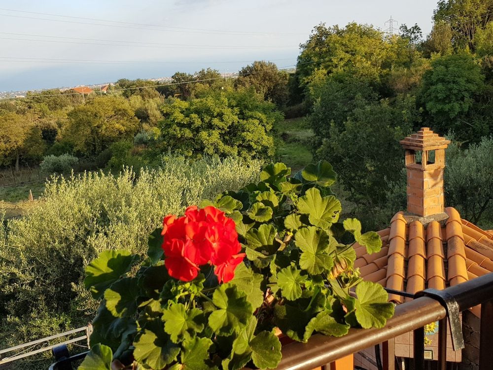 B&B BOUTIQUE DI CHARME ETNA-RELAX-NATURA