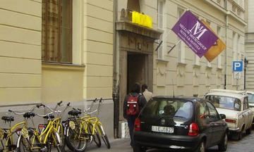 DOMINO HOSTEL