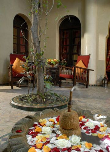 RIAD DAMA