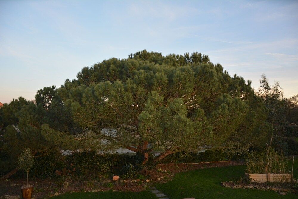 L'abri-Cotier photo 2