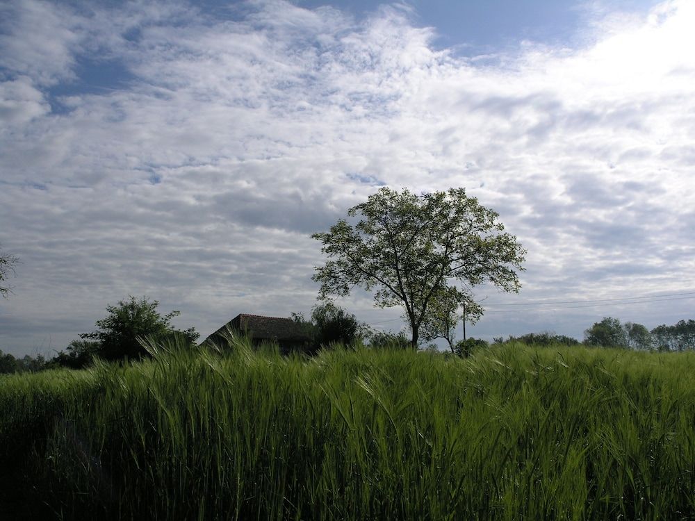 Ethno Village Stara Lonja photo 5