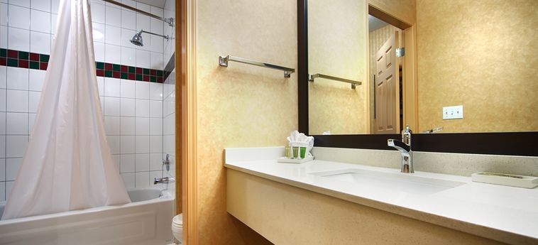 Hotel Best Western Plus Regency Inn &Amp; Conference Centre  Abbotsford: Foto 