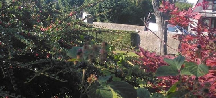 Granville Guest House Aberdeen: Foto 