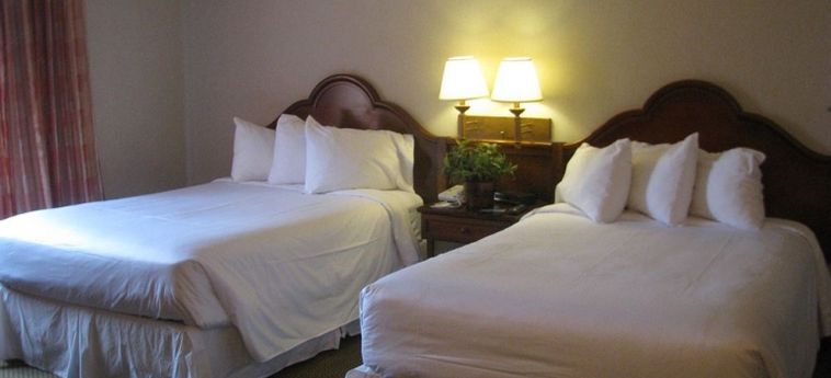 Hotel Mcm Elegante Suites:  ABILENE (TX)