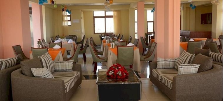 Bole Skygate Hotel:  ADDIS ABABA
