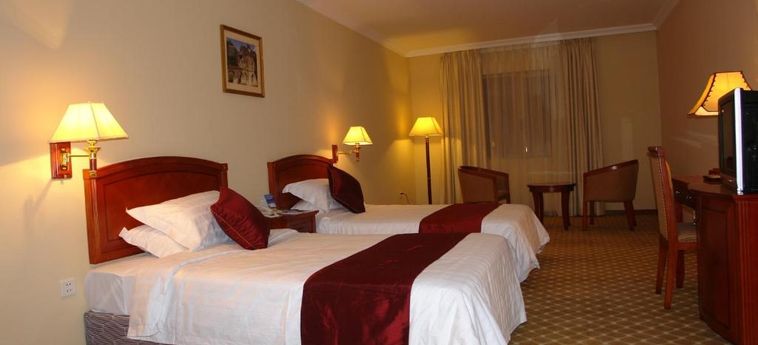 Hotel Dreamliner:  ADDIS ABABA