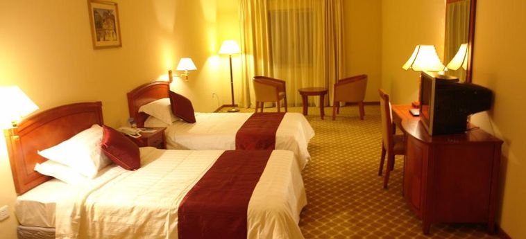 Hotel Dreamliner:  ADDIS ABABA