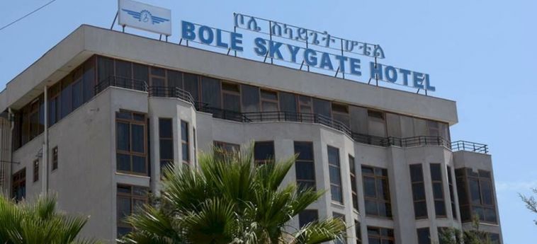 Bole Skygate Hotel:  ADDIS ABEBA