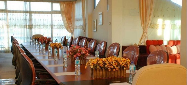 Dimitri Hotel Addis Abeba : Photo 