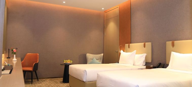 Skylight In-Terminal Hotel Addis Abeba : Photo 