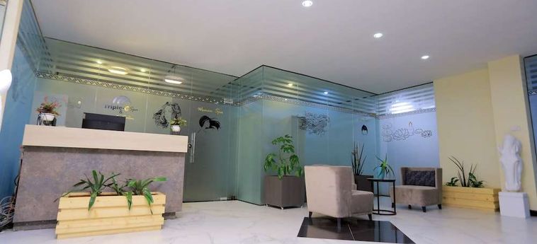 Triple-E Hotel And Spa Addis Abeba: Foto 
