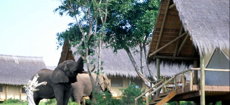 Hotel Gorah Elephant Camp:  ADDO