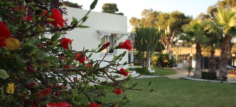 Hotel Antichi Mulini Aegadian Islands: Foto 