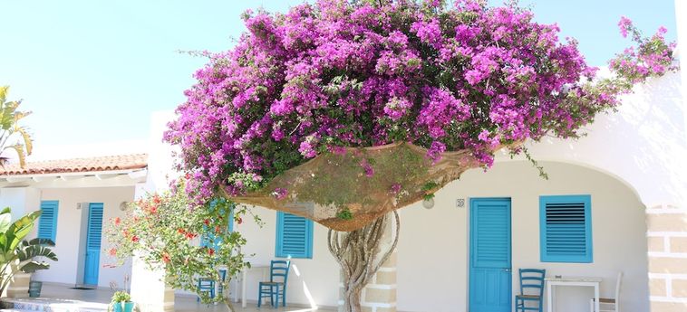 Hotel Antichi Mulini Aegadian Islands : Photo 