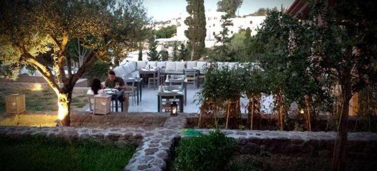 Xanthippi Hotel Apartments Aegina : Photo 