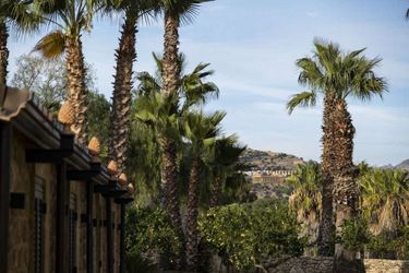 Hotel Demetra Resort  Agrigento: Photo 