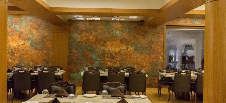 Aarya Grand Hotels &Amp; Resorts Ahmedabad: Foto 