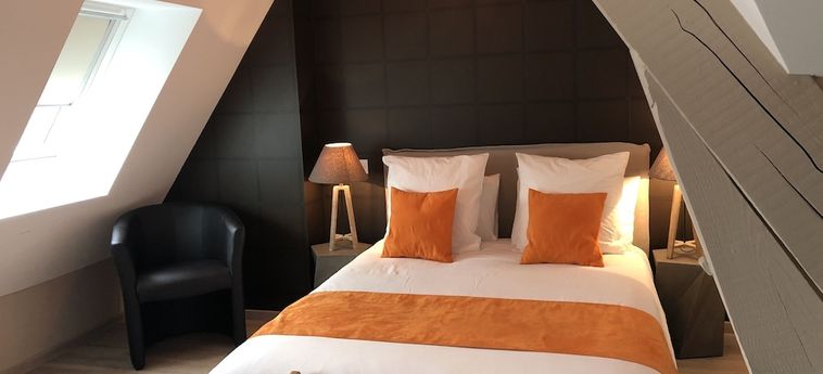 Hotel La Maison Elisa:  AIX LES BAINS