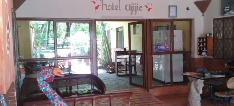 Hotel Ajijic Plaza Suites:  AJIJIC - JALISCO