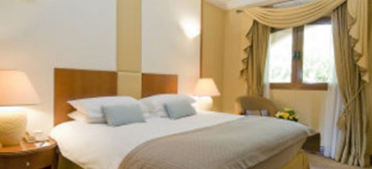 Hotel Danat Al Ain Resort:  AL AIN