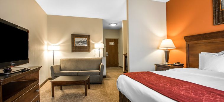 Hotel Comfort Suites Pelham Hoover I-65:  ALABASTER (AL)