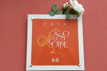 Casa Asso Di Coppe B&b:  ALBA LANGHE - CUNEO