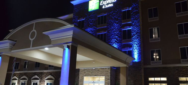 HOLIDAY INN EXPRESS & SUITES ALBANY 2 Etoiles