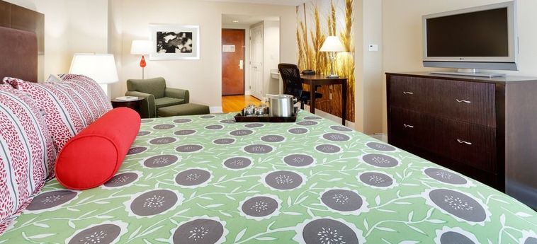 Hotel Trilogy Albany Airport, Tapestry Collection By Hilton:  ALBANY (NY)