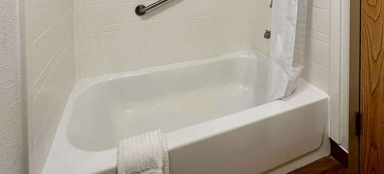 Hotel Quality Inn &Amp; Suites Airport Albany (Ny): Photo 