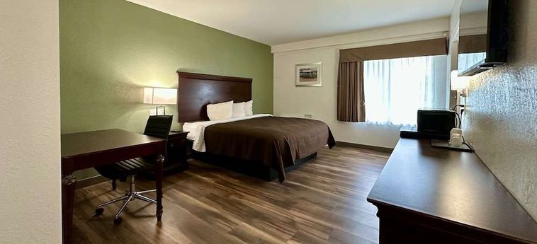 Hotel Quality Inn &Amp; Suites Airport Albany (Ny): Photo 