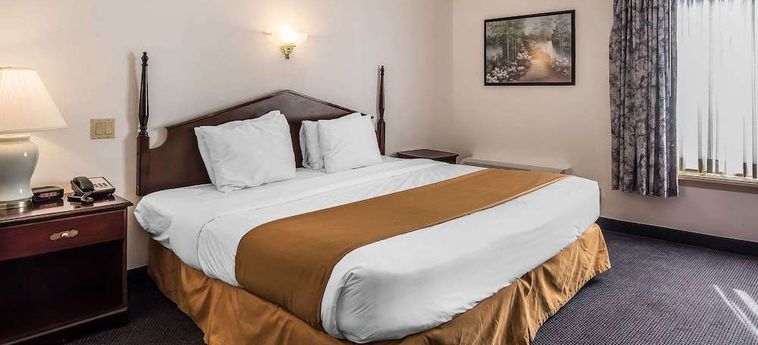 Hotel Quality Inn &Amp; Suites Airport Albany (Ny): Photo 