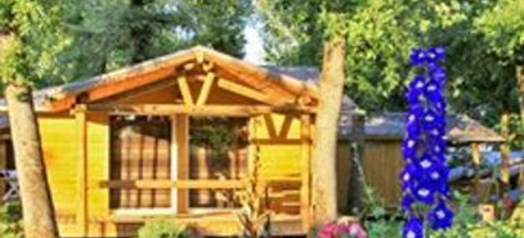 Hotel Albirondack Park Camping Lodge And Spa:  ALBI