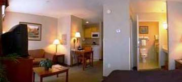 Hotel Homewood Suites By Hilton Albuquerque-Journal Center:  ALBUQUERQUE (NM)