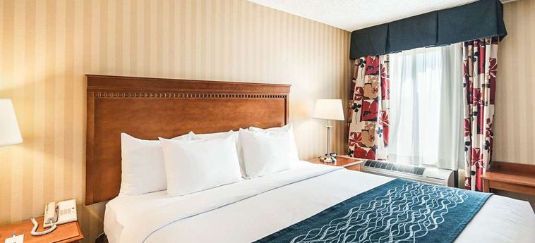 Hotel Comfort Inn & Suites Alexandria:  ALEXANDRIA (VA)