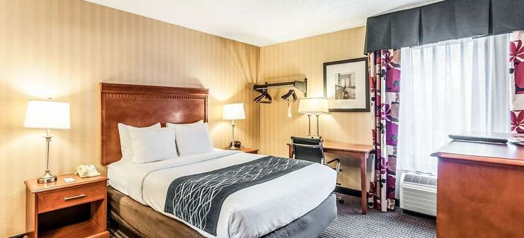 Hotel Comfort Inn & Suites Alexandria:  ALEXANDRIA (VA)