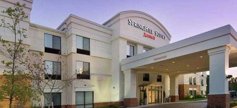 Hotel Springhill Suites By Marriott Alexandria:  ALEXANDRIA (VA)