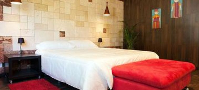 Hotel Domus Selecta Patagonia Suites:  ALICANTE - COSTA BLANCA