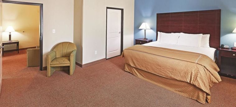 Hotel La Quinta Inn & Suites Mckinney:  ALLEN (TX)