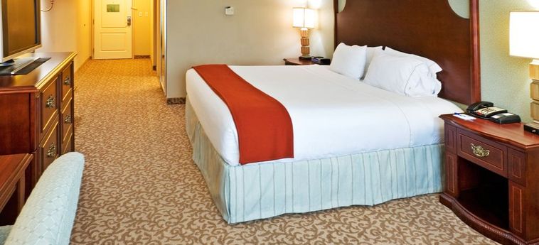 Hotel Holiday Inn Express & Suites Allen North-Event Center:  ALLEN (TX)