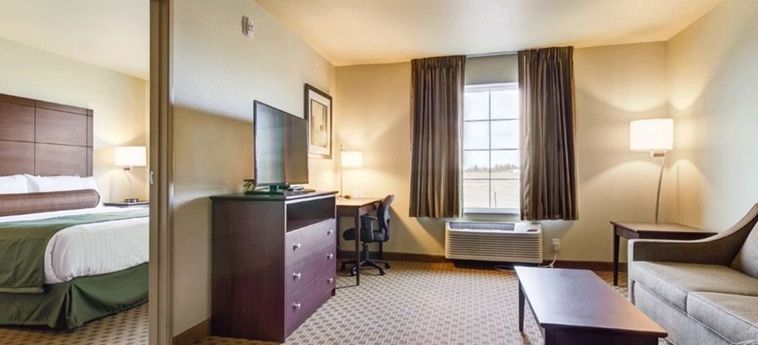 Hotel Cobblestone Inn & Suites - Altamont:  ALTAMONT (IL)