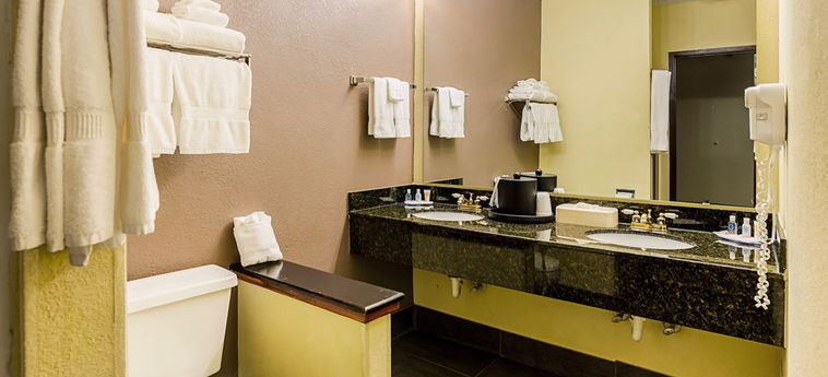Hotel Quality Suites Altavista - Lynchburg South:  ALTAVISTA (VA)