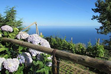 Agriturismo Mare E Monti:  AMALFI COAST
